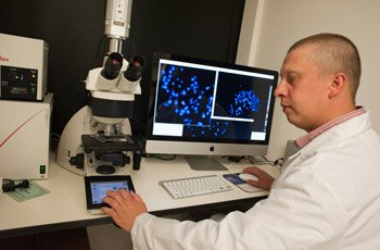 Dr. Yudkin examines chromosomes from a patient with FXS using a fluorescent microscope